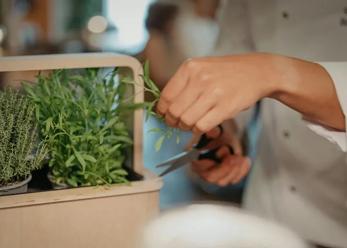 فندق جي دبليو ماريوت