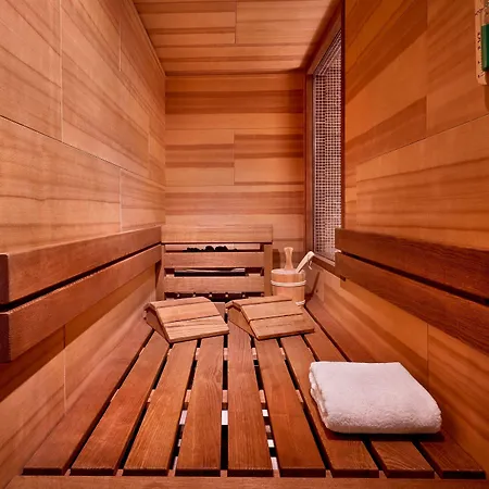 주메이라 5* 프랑크푸르트